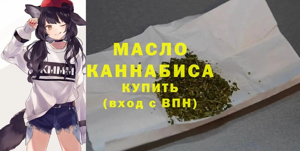 МДПВ Михайлов