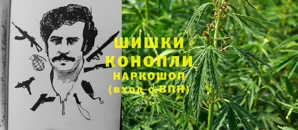 соль ск Алзамай