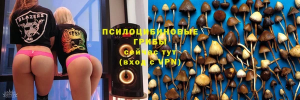 соль ск Алзамай