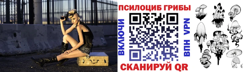 сайты даркнета телеграм Сосновка Псилоцибиновые грибы прущие грибы купить